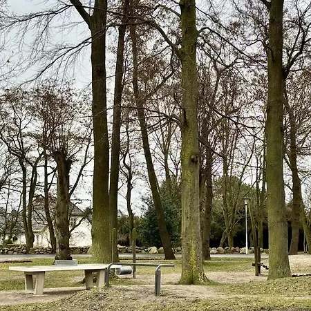 Zingst Rosenberg 4 Zingst